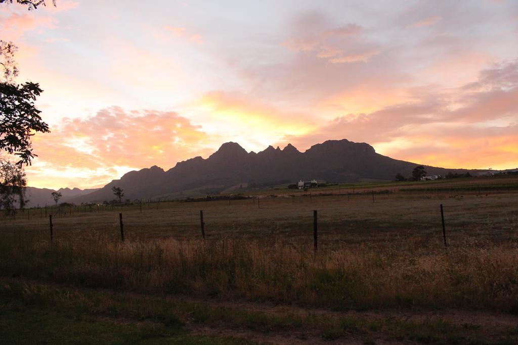 Rosenview Guest House Stellenbosch Exterior foto